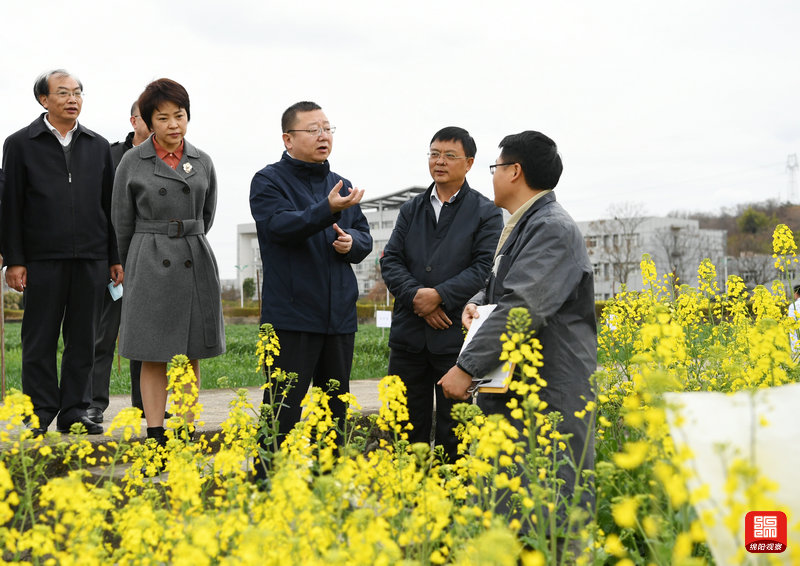 2021年2月26日，元方調(diào)研科技創(chuàng)新工作7  張莉 攝.jpg