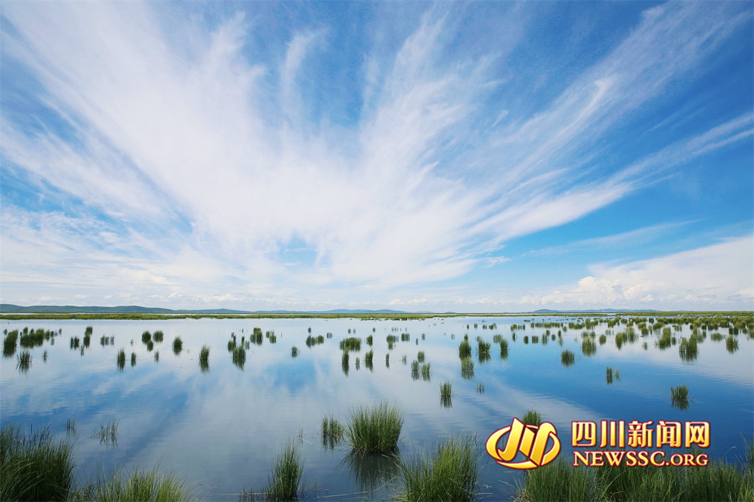 沙洲點(diǎn)點(diǎn)，水鳥翔集，探秘黃河九曲第一灣若爾蓋生態(tài)之變的“金鑰匙” (9).png