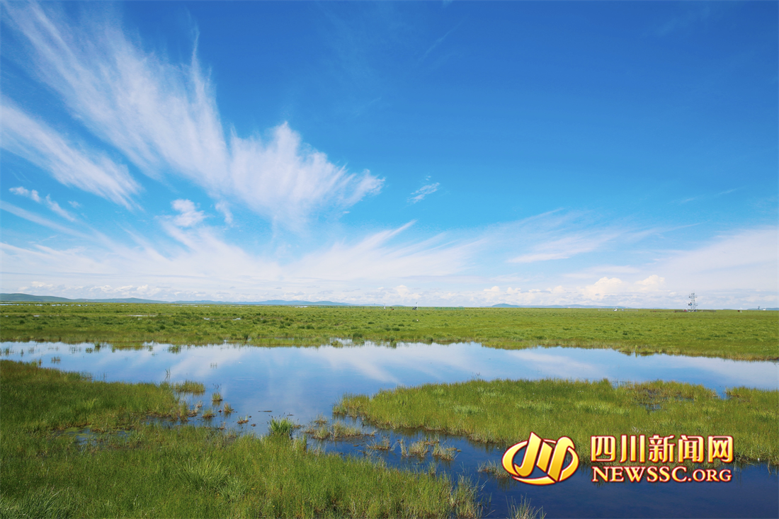 沙洲點(diǎn)點(diǎn)，水鳥翔集，探秘黃河九曲第一灣若爾蓋生態(tài)之變的“金鑰匙” (11).png