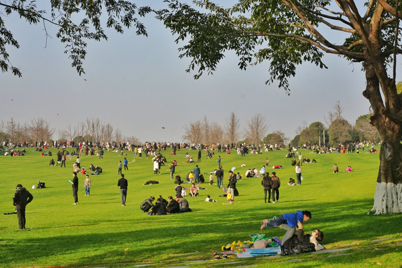 重慶中央公園，市民在草坪上曬太陽、放風(fēng)箏。重慶日報.jpg