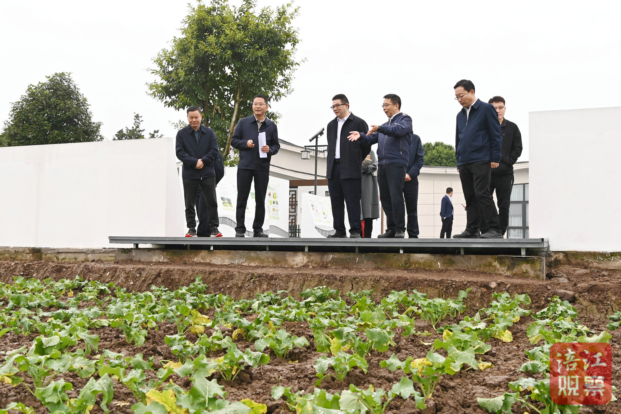 2024年11月10日，李云赴安州調(diào)研學(xué)習(xí)運用“千萬工程”經(jīng)驗4  張莉 攝.jpg
